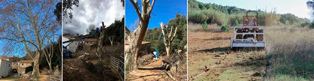 Jardinería Solivera servicios forestales