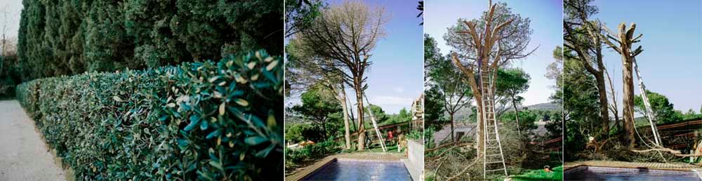 Jardinería Solivera trabajos forestales