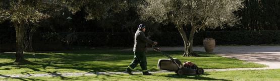 Jardinería Solivera hombre podando