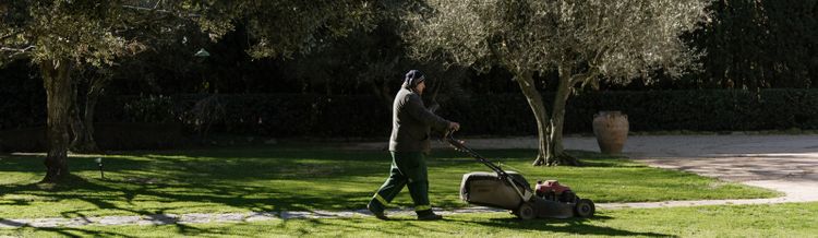 Jardinería Solivera hombre podando jardín